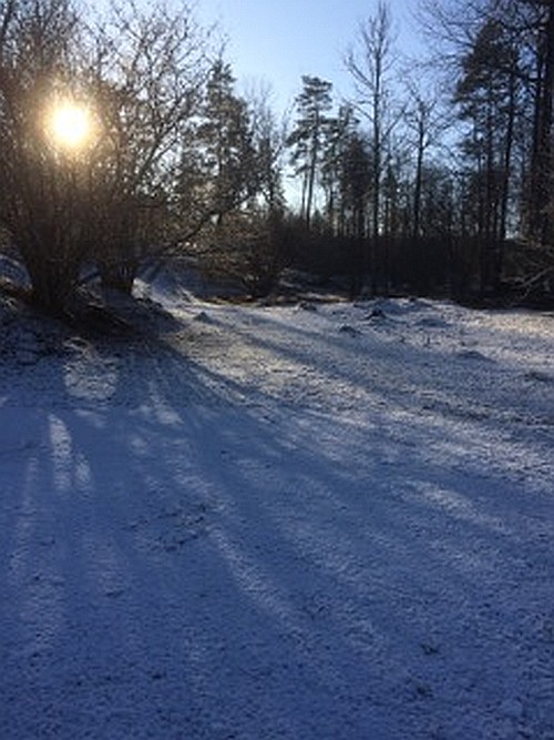 Sk�rbo - foto Lasse H