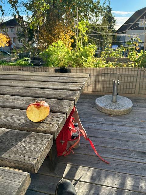 Fruktstund p� altanen