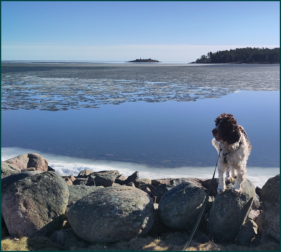 �rn�s 19 mars 2026