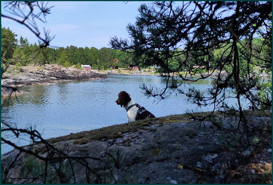 Torkeln 27 juni 2026